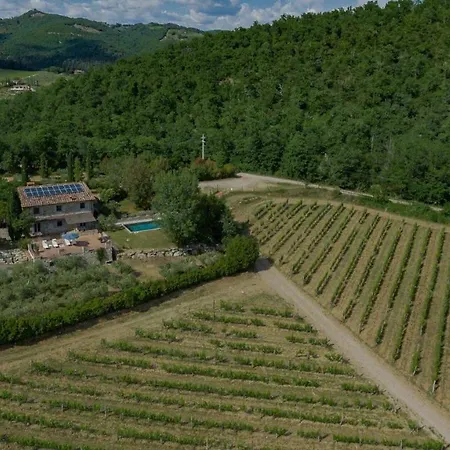 Il Trebbio